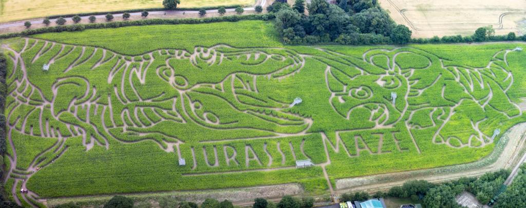 York Maze Aerial Photography
