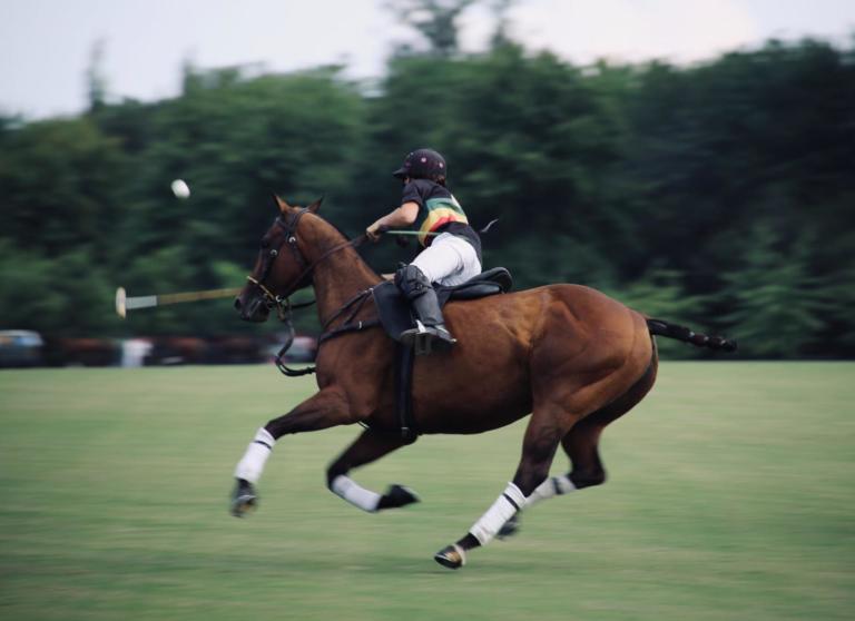 panning photo of person riding on horse