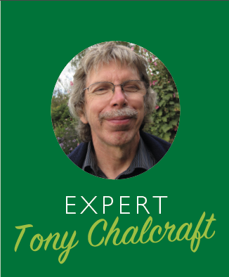 Tony Chalcraft