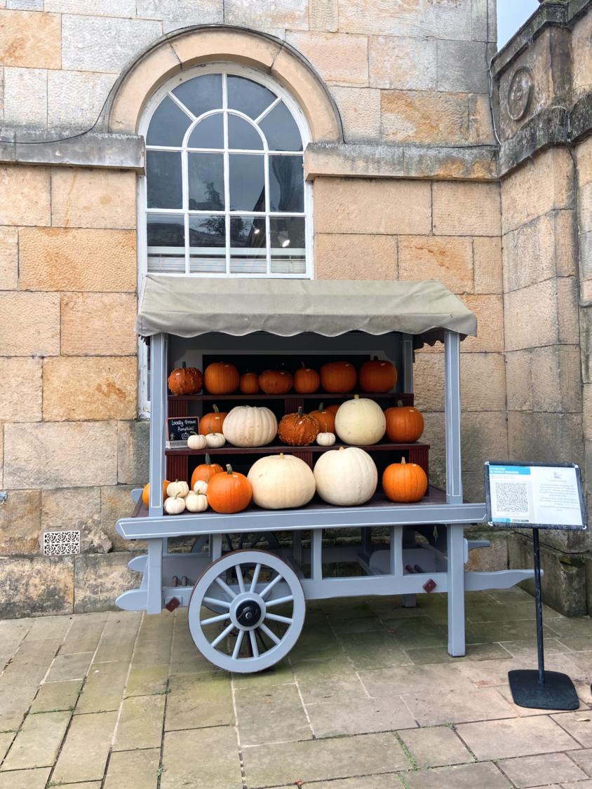 Pumpkin cart