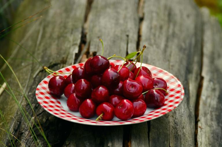 Sour Cherries in a Bowl