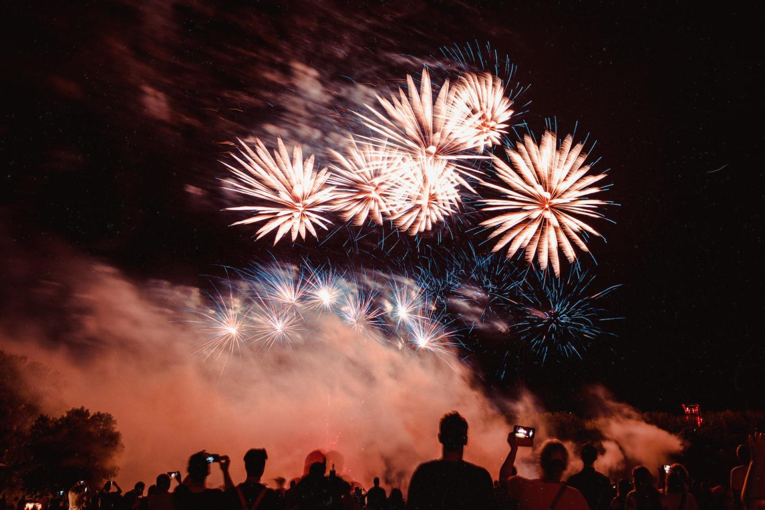 people watching fireworks display during nighttime