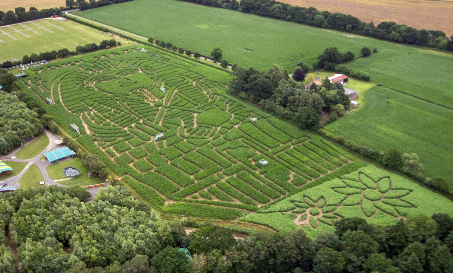 York Maze 2023