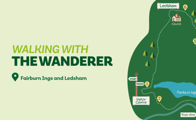 Walking with the wanderer - Fairburn Ings and Ledsham Downloadable Map