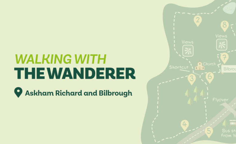 Walking with the wanderer - Askham Richard and Bilbrough