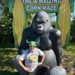 Tom Pearcy York Maze