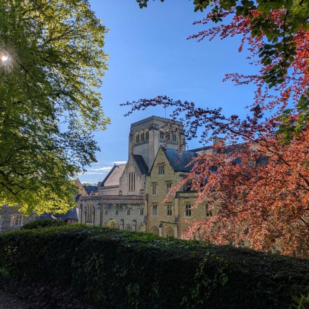 Listing cover image