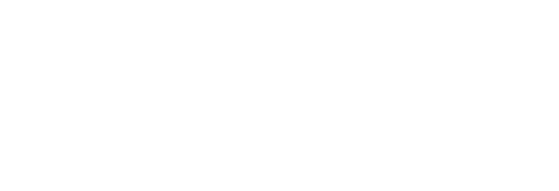 Your Local Link Logo White