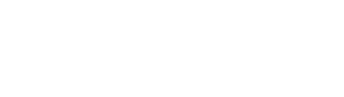 Your Local Link Logo White
